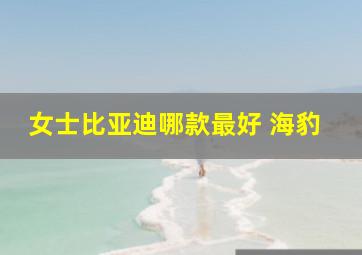 女士比亚迪哪款最好 海豹